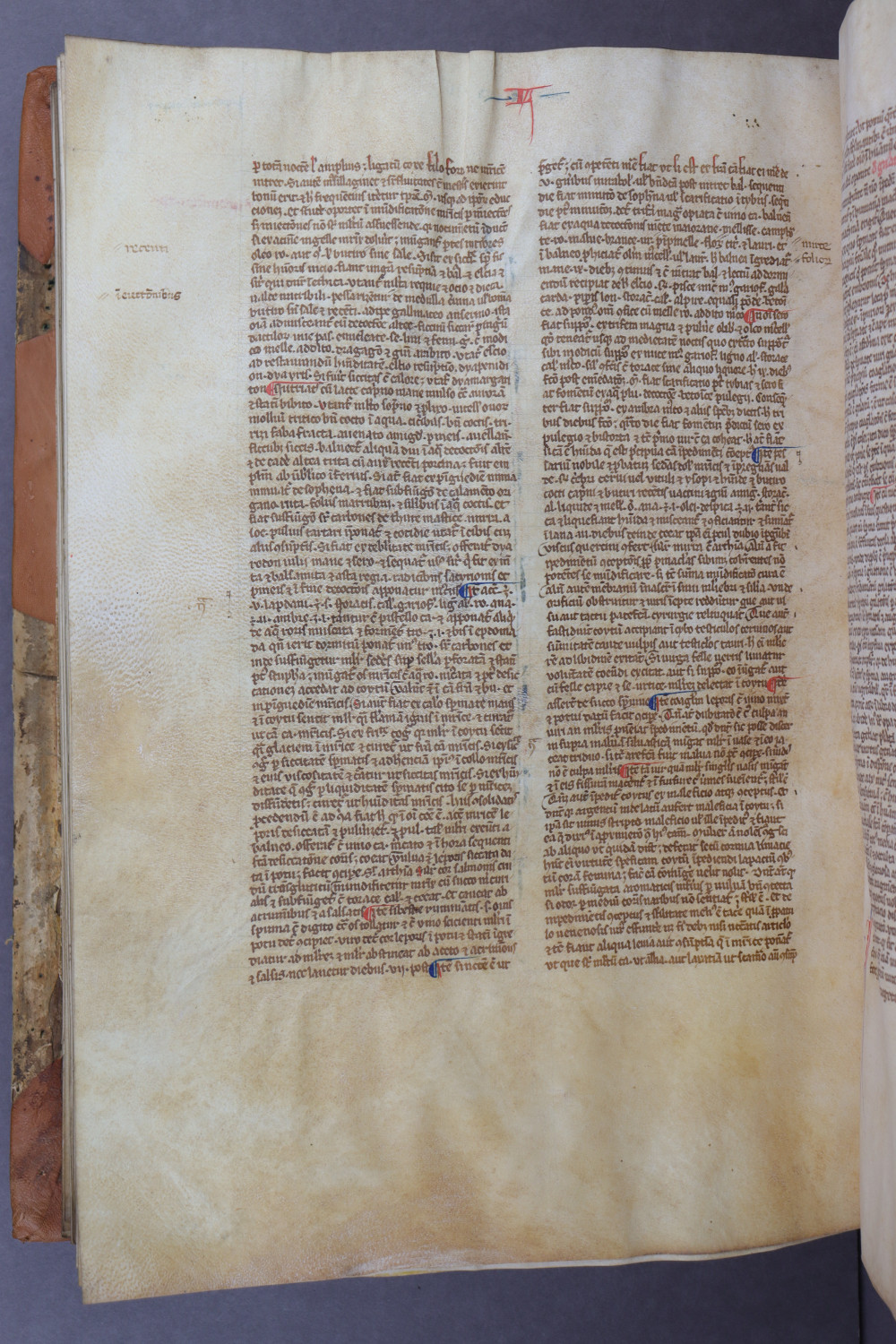 Folio 138 verso
